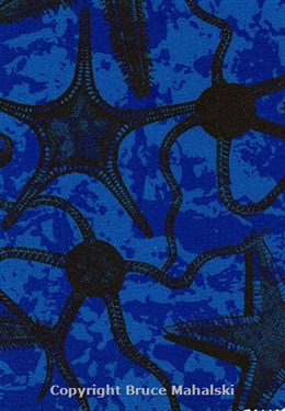  Blue Starfish Print 